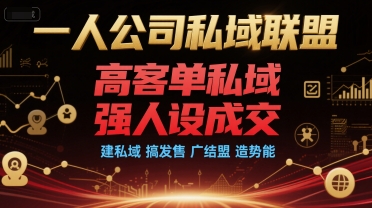 一人公司私域联盟,高客单私域,强人设成交,建私域 搞发售 广结盟 造势能-鼎铸网