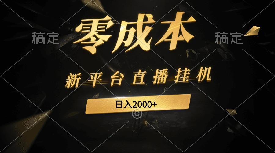 (9841期)新平台直播挂机最新玩法，0成本，不违规，日入2000+-鼎铸网