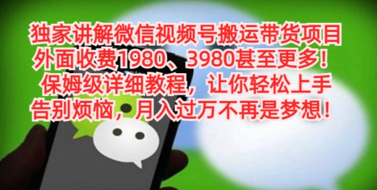 独家讲解微信视频号搬运带货项目，保姆级详细教程-鼎铸网