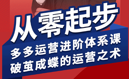 海神·拼多多运营进阶系统课(更新9月)-鼎铸网