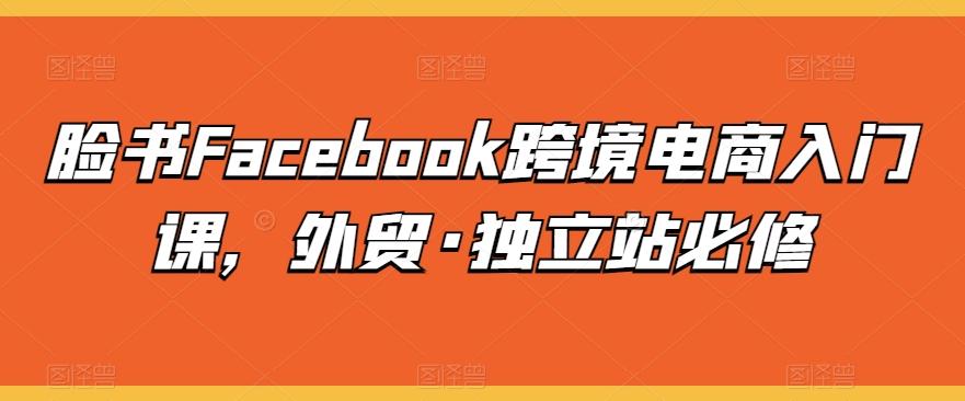 脸书Facebook跨境电商入门课，外贸·独立站必修-鼎铸网