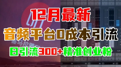 43a05746c9f42780496d2bcaa179307f.jpeg 12月最新:音频平台0成本引流,日引流300+精准创业粉
