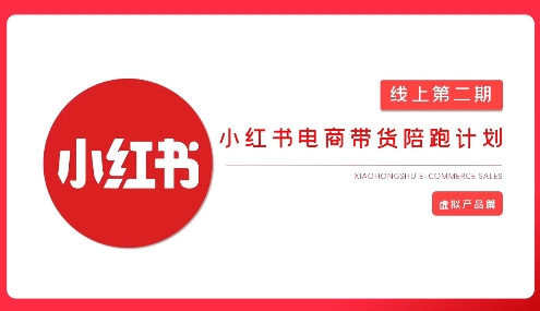 2025小红书虚拟电商实战课，从0到1打造无货源店铺，AI+爆款笔记轻松变现-鼎铸网