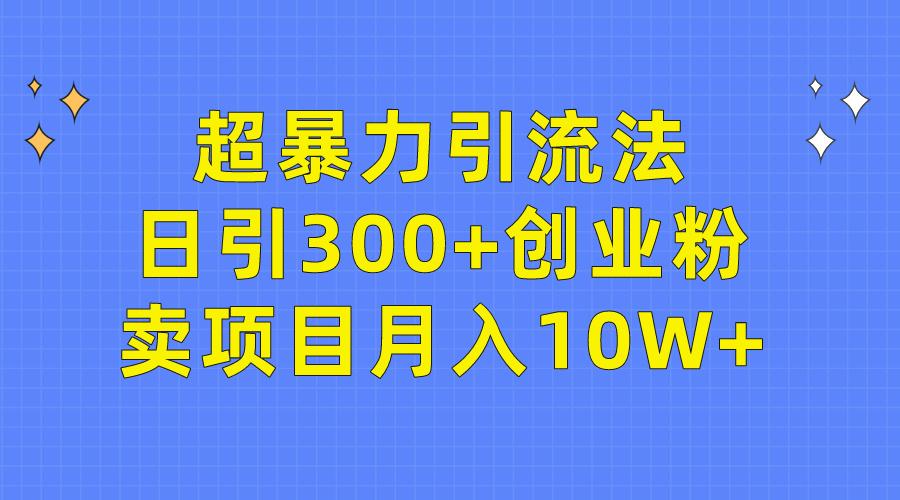 (9954期)超暴力引流法,日引300+创业粉,卖项目月入10W+-鼎铸网