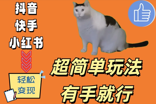 超简单玩法，有手就行，靠猫咪视频日入500+【揭秘】-鼎铸网
