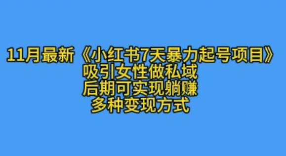 K总部落11月最新小红书7天暴力起号项目，吸引女性做私域【揭秘】-鼎铸网