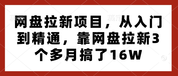 网盘拉新项目,从入门到精通,靠网盘拉新3个多月搞了16W-鼎铸网