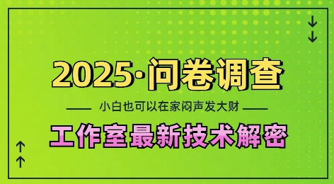 2025问卷调查最新工作室技术解密：一个人在家也可以闷声发大财，小白一天2张，可矩阵放大【揭秘】-鼎铸网
