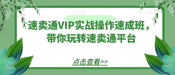 47c4270a1a506b172202a1e038615b54.jpeg 速卖通VIP实战操作速成班,带你玩转速卖通平台