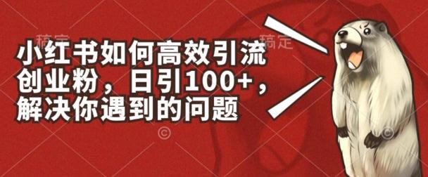 493d7ba2f546bf3e80b9f0f5eb9c468f.jpeg 小红书如何高效引流创业粉,日引100+,解决你遇到的问题【揭秘】