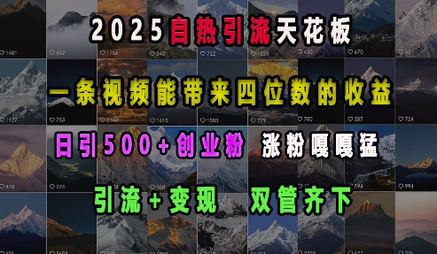 4b22640217b6c500e2f94812db016a13.jpeg 2025自热引流天花板,一条视频能带来四位数的收益,引流+变现双管齐下,日引500+创业粉,涨粉嘎嘎猛