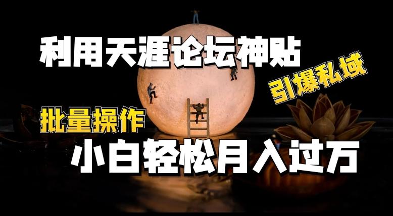 4bc83cfac8d516044a3ae3d76673a8a1.jpeg 利用天涯论坛神贴,引爆私域,批量操作,小白轻松月入过w【揭秘】