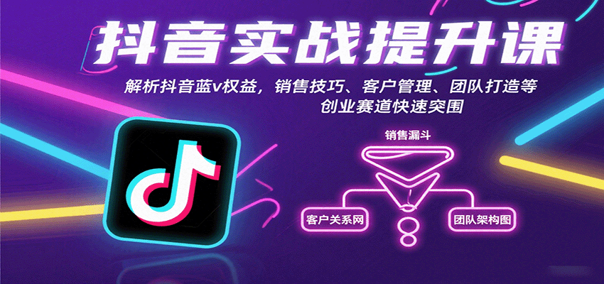 抖音实战提升课：解析抖音蓝v权益，销售技巧、客户管理、团队打造等创业赛道快速突围-鼎铸网