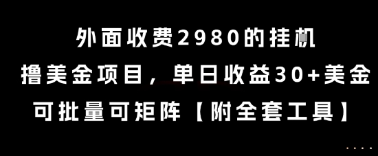 外面收费2980的挂G撸美金项目,单日收益30+美金,可批量可矩阵【揭秘】-鼎铸网