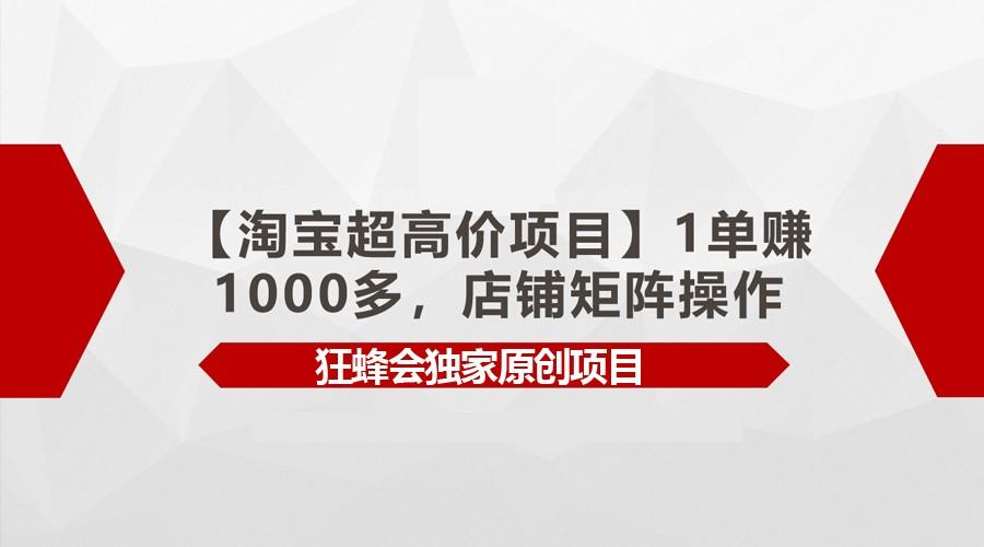 【淘宝超高价项目】1单赚1000多，店铺矩阵操作-鼎铸网