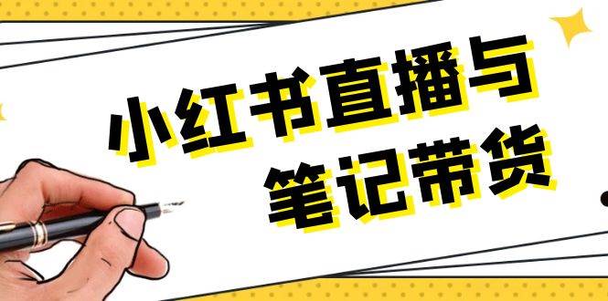小红书直播与笔记带货：选品、上架、笔记写作、视频剪辑及直播话术等-鼎铸网