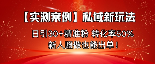 【实测案例】私域新玩法,日引30+精准粉,转化率50%,新人照做也能出单!-鼎铸网