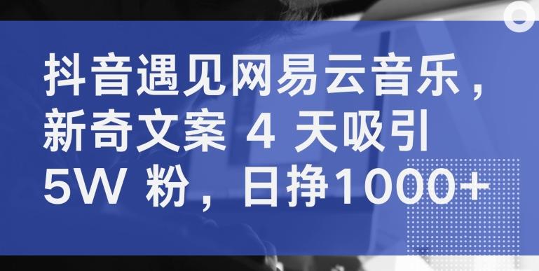 5040b0ba626bbe1308c1516dbca33e51.jpeg 抖音遇见网易云音乐,新奇文案 4 天吸引 5W 粉,日挣1000+【揭秘】