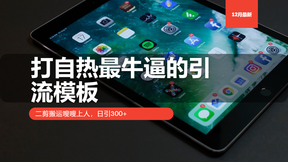 打自热最牛逼的引流模板，二剪搬运嗖嗖上人，日引300+-鼎铸网