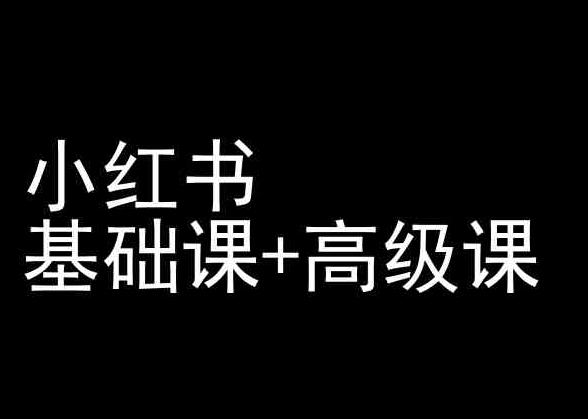 小红书基础课+高级课-小红书运营教程-鼎铸网