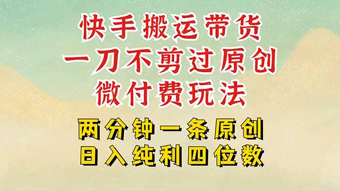 快手黑科技搬运带货,一刀不剪过原创,微付费投流玩法,轻松日入四位数...-鼎铸网