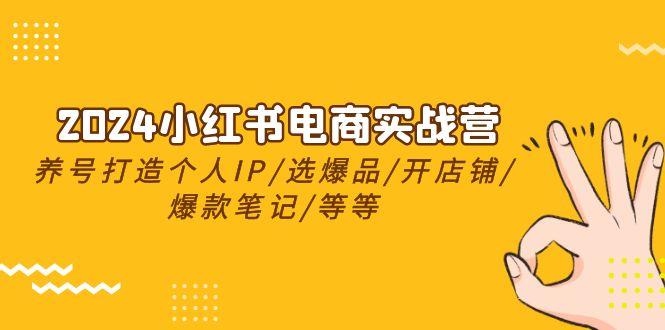 2024小红书电商实战营，养号打造IP/选爆品/开店铺/爆款笔记/等等(24节)-鼎铸网