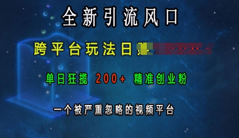 全新引流风口，跨平台玩法日入上k，单日狂揽200+精准创业粉，一个被严重忽略的视频平台-鼎铸网