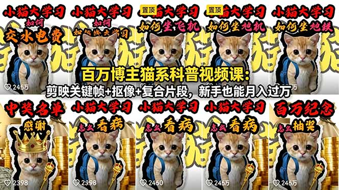 百万博主猫系科普视频课:剪映关键帧+抠像+复合片段,新手也能月入过万-鼎铸网