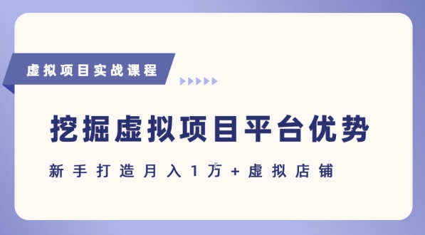 抓住虚拟项目各平台优势，新手轻松月入1W+(给出具体建议)-鼎铸网