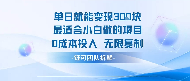 单日就能变现3张最适合小白做的项目0成本投入 无限复制-鼎铸网