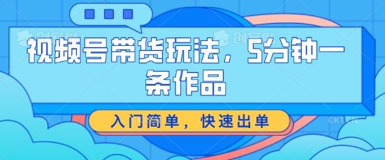 视频号带货玩法，5分钟一条作品，入门简单，快速出单【揭秘】-鼎铸网