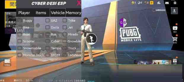 PUBG轻量老外裸奔绘制+自瞄 支持ROOT和框架 里面有全局离线-鼎铸网