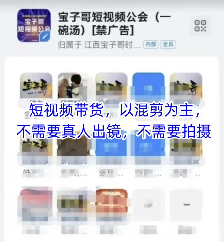宝子哥头部团队短视频带货,以混剪为主,不需要真人出镜,不需要拍摄【更新26年1月】-鼎铸网