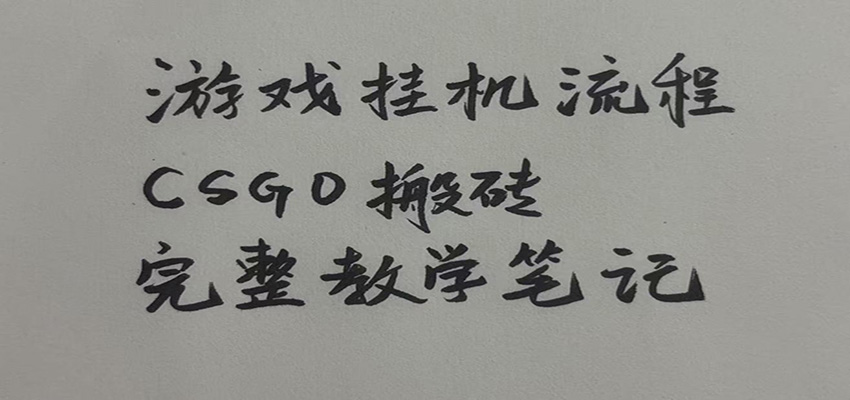 游戏挂机全流程笔记分享，CSGO游戏搬砖，小白看了当天学会见收益-鼎铸网