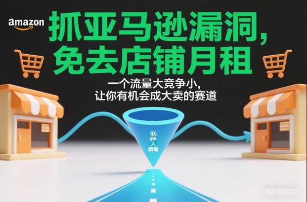 580001ef43ab5b483e7406417545b477.jpeg 抓亚马逊漏洞,免去店铺月租,一个流量大竞争小,让你有机会成大卖的赛道