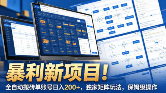 暴利新项目!全自动搬砖单账号日入200+,独家矩阵玩法,保姆级操作【揭秘】-鼎铸网