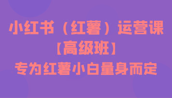 小红书(红薯)运营课【高级班】，专为红薯小白量身而定(42节课)-鼎铸网