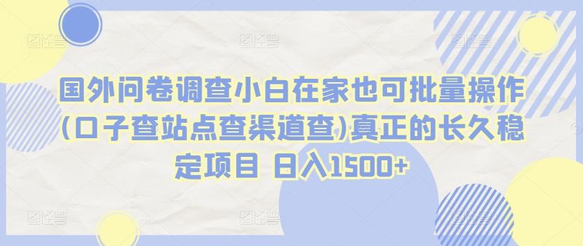 国外问卷调查小白在家也可批量操作(口子查站点查渠道查)真正的长久稳定项目 日入1500+【揭秘】-鼎铸网