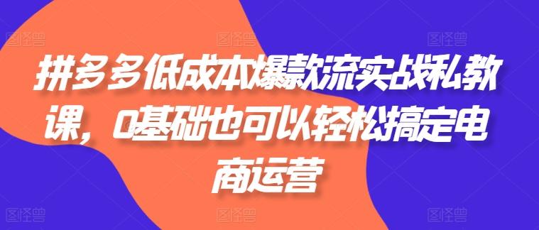 5a3ba81dddbc646dfb9480c3308e7105.jpeg 拼多多低成本爆款流实战私教课,0基础也可以轻松搞定电商运营