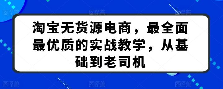 淘宝无货源电商，最全面最优质的实战教学，从基础到老司机-鼎铸网