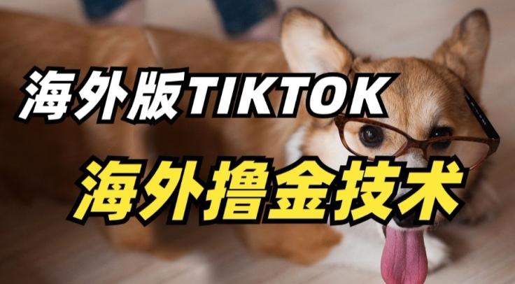 5b559765b093331d49a6b6f8e66f748e.jpeg 抖音海外版tiktok撸金技术,这个风口行业,赚钱真的不难【揭秘】