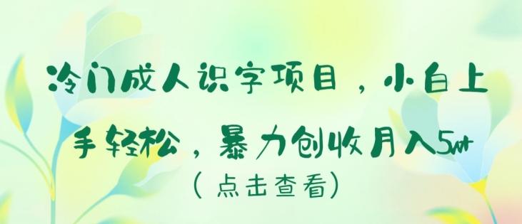 5b7bc774dda80ddd4e75dc6d68e33b63.jpeg 冷门成人识字项目,小白上手轻松,暴力创收月入5w+【揭秘】