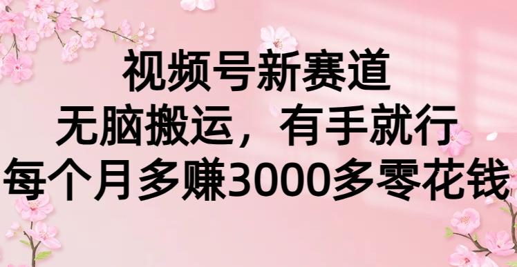 (9278期)视频号新赛道，无脑搬运，有手就行，每个月多赚3000多零花钱-鼎铸网