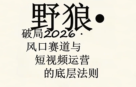 野狼团队·多平台实操运营课(更新4月)-鼎铸网