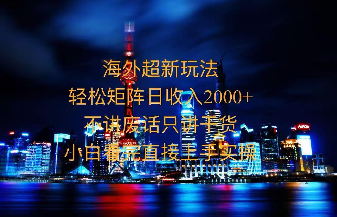 2025全新海外暴力玩法，操作简单，小白轻松上手-鼎铸网