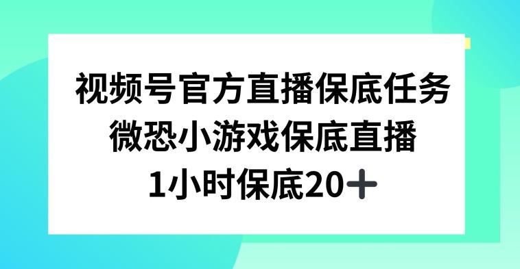 视频号直播任务，微恐小游戏，1小时20+【揭秘】-鼎铸网