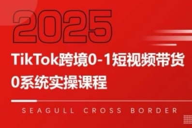 TikTok跨境0-1短视频带货,系统拆解TikTok跨境带货全链路,实现跨境可持续盈利-鼎铸网