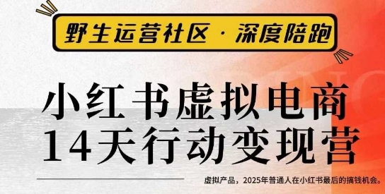 5c93017334ce388e67ed69cfaf0bec0d.jpeg 小红书虚拟电商14天变现训练营3.0,虚拟产品,2025年普通人在小红书最后的搞钱机会