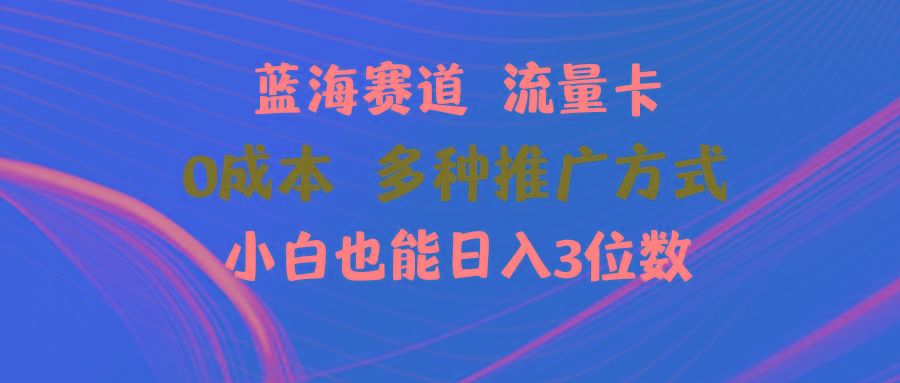 蓝海赛道 流量卡 0成本 小白也能日入三位数-鼎铸网