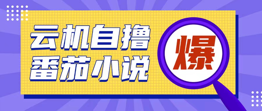 首发云手机自撸小说玩法，10块钱成本可撸200+收益操作简单【揭秘】-鼎铸网